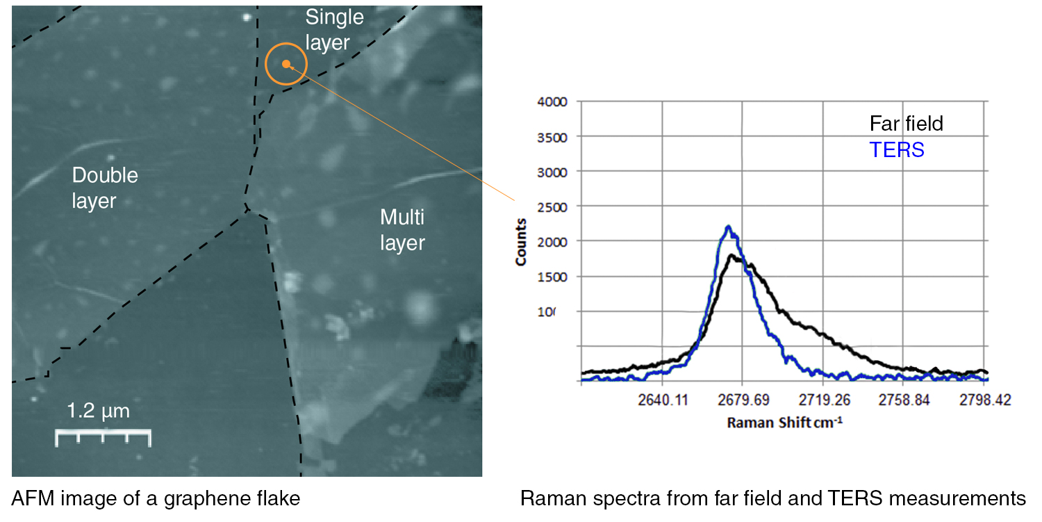 AFM image of a graphene flake with Raman spectra from far-field and TERS measurements.